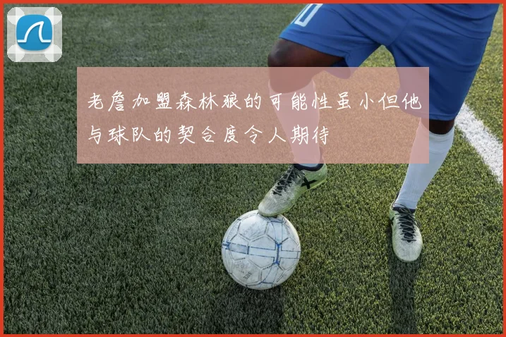 老詹加盟森林狼的可能性虽小但他与球队的契合度令人期待